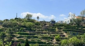 结束连败！曼城3比0轻取曼联，昔日红魔已经彻底沦为鱼腩？